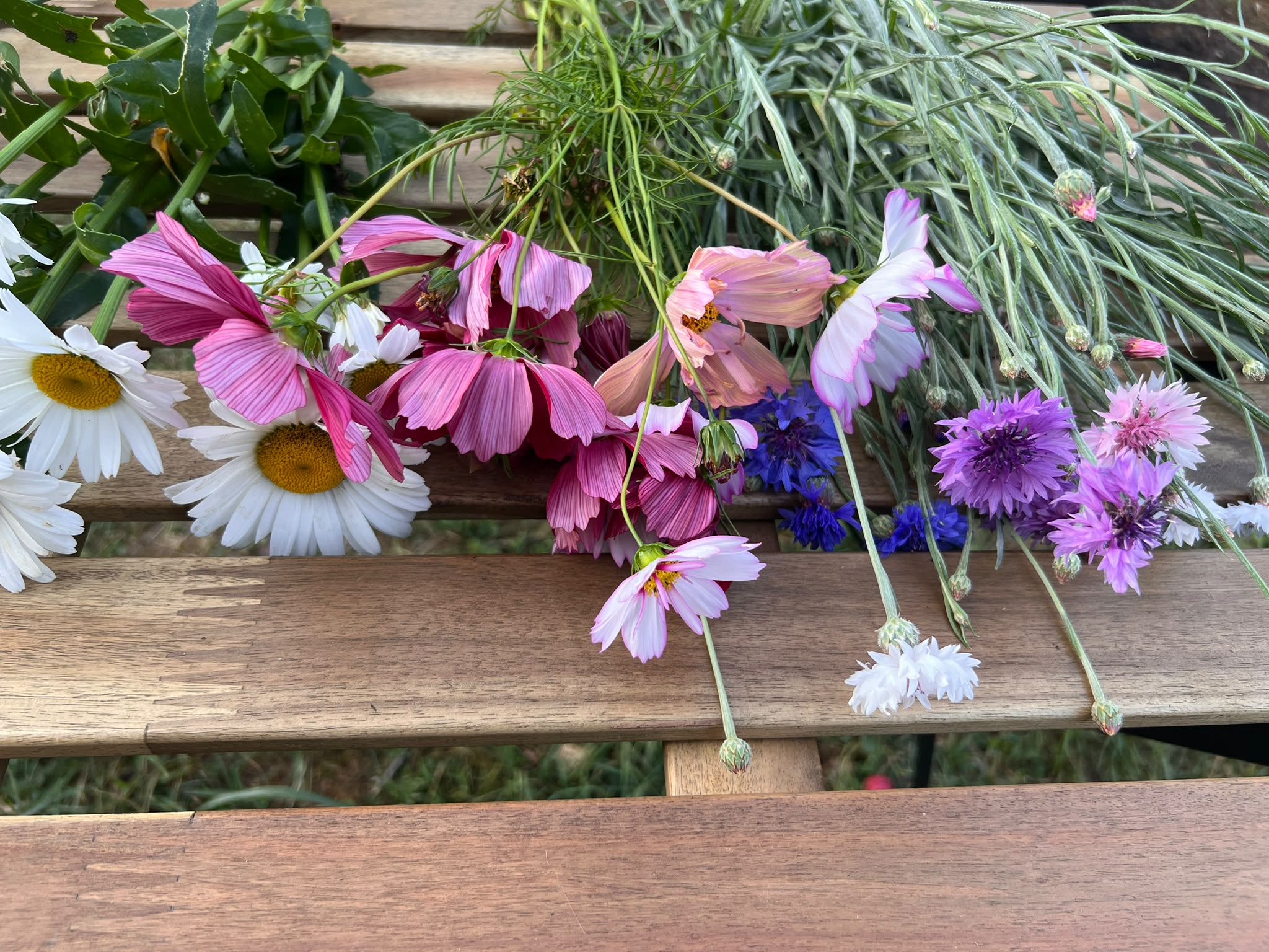 A beautiful, vibrant flower bed on a small family farm with sunflowers, dahlias, and cornflowers in the golden hour light, rustic atmosphere, high quality photography